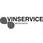 VSMM